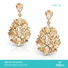 Load image into Gallery viewer, Aretes de Noche #NC-65
