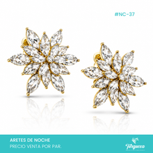 Load image into Gallery viewer, Aretes de Noche #NC-37
